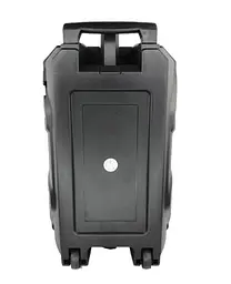 Колонка Big LT-818 bluetooth + мікроон (245х220х385) USB/MO3/FM/TWS black - мініатюра 4