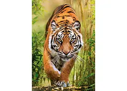 Пазл Clementoni High Quality Collection: Шлях мисливця (High Quality Collection - The Hunter's Path Puzzle - 1000 pcs.), 1000 ел. (37108) - мініатюра 2