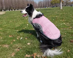 Літній охолоджувальний жилет для великих порід собак Derby Summer Dog Cooling Vest PPA0116, Pink, L - мініатюра 2