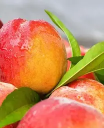 Саджанець Agro-Market Нектарин Бурштиновий (лисий персик) (40029) 1 шт. в упаковці - мініатюра 2