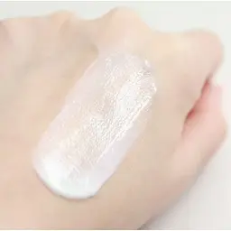Бар'єрний сонцезахисний крем Real Barrier Cera Moisture Barrier Sun Cream SPF50+ PA++++ 50 мл - мініатюра 4