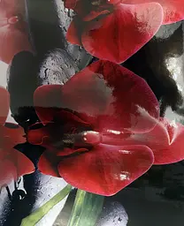 Кухонний фартух самоклеючий Червона орхідея Чорне каміння наклейка ПВХ чорний 60х250 см Happy Pocket Z180368 - мініатюра 10
