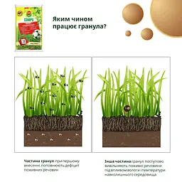 Тверде добриво тривалої дії для газонів COMPO 20 кг - мініатюра 6