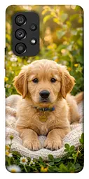 TPU чохол Demsky Small labradore для Samsung Galaxy A53 5G