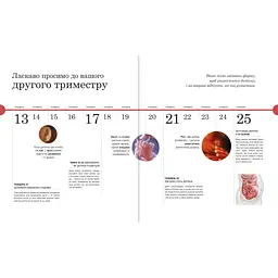 Книга Практична психологія. Вагітність день за днем - Меґґі Блотт Ранок (9786170991058) - мініатюра 10