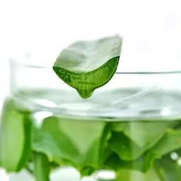 Ковдра Ideia Botanical Алое Вера літня, 220х200 см (8-13012) - мініатюра 9