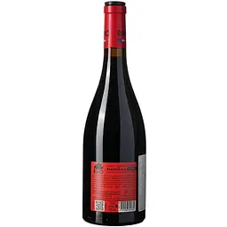 Вино Rino Cabernet Sauvignon AOP Madiran червоне сухе 0.75 л - мініатюра 3