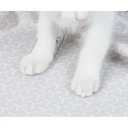 Змінна підкладка для наповнювача Petkit High Performance Cat Litter Pad Ultra (P99035) - мініатюра 5