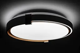 Стельовий світильник Coliseum матовий 60W 395 x 60 мм 3000К-6500К з ДК біле золото - мініатюра 4