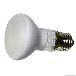 Лампа точкового нагріву Repti-Zoo Beam Spot 35W (BS63035) - мініатюра 2