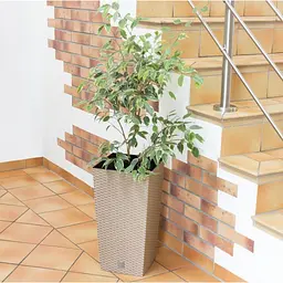 Горщик для рослин Prosperplast Rato Square 21/49 л бежевий (DRTS325-7529U) - мініатюра 2