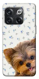 TPU чохол Demsky Cute Yorkie для OnePlus 10T