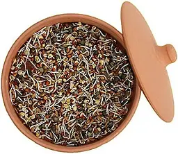Глиняні горщики для пророщування Hawos Toni Clay Sprouter - мініатюра 6
