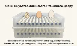 Автоматичний інкубатор ПТАХА 200-В (220/12В) - мініатюра 3