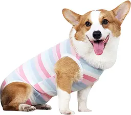 Костюм для відновлення собак WanTalk Striped Recovery Suit, Pink, L - мініатюра 2