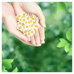 Гігієнічні прокладки Naturella Ultra Normal Plus, 18 шт. - мініатюра 5