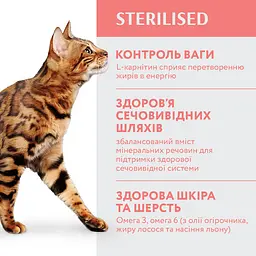 Повнораціонний сухий корм для стерилізованих кішок та кастрованих котів Optimeal з високим вмістом яловичини та сорго, 0,7 кг - мініатюра 2