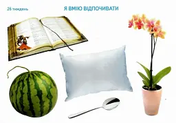Ранкові зустрічі. Тематичні тижні. Комплект карток - мініатюра 5