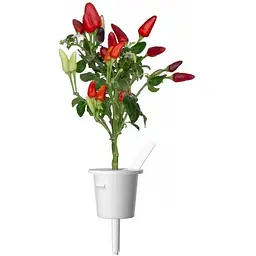 Змінний картридж Click & Grow Smart Garden Перець Чілі, 3 капсули (7311) - мініатюра 2