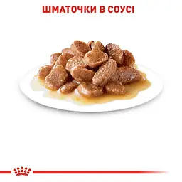 Набір вологого корму для дорослих котів Royal Canin Hairball Care шматочки в соусі 1.02 кг (12 шт. х 85 г) - мініатюра 3
