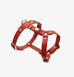 Шкіряна анатомічна шлея для собак "Classy" XL червона (обхват грудини 75-89 см) - мініатюра 4