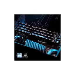 Модуль пам'яті для комп'ютера DDR5 8GB 6000 MHz Beast AM5 Black Fury (KF560C36BBE-8) - мініатюра 7