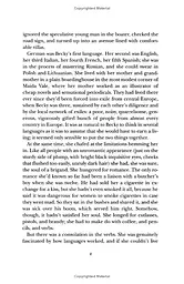 Sally Lockhart Mystery 4. The Tin Princess - мініатюра 4
