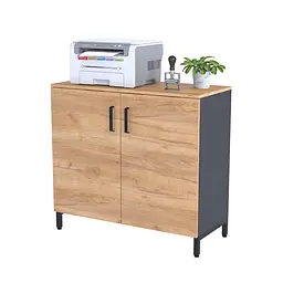 Тумба офісна LT-900-830 Loft Design (Дуб Крафт золотий)