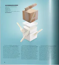 Package Design Book 6 - мініатюра 4