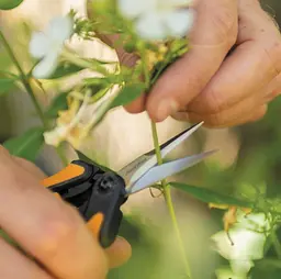 Ножиці для квітів Fiskars Solid ™ Micro-Tip SP13 1051600 - мініатюра 4