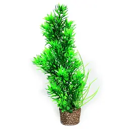 Штучна рослина Hobby Flora Stone 5 25 см (51534)