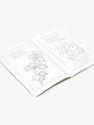Книга розмальовок Вірші та загадки 12B-010 Різнокольоровий shop (4820168950094) - мініатюра 2