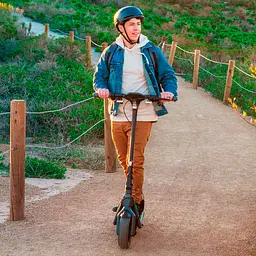 Електросамокат Segway Ninebot KickScooter P65E [AA.00.0012.48] [85466] - мініатюра 8