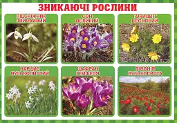 Тека вчителя. Між минулим та майбутнім (жовтень). 3 клас - - мініатюра 2
