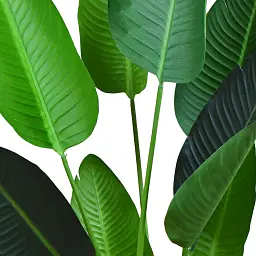 Штучна рослина Engard Banana Tree 120 см (TW-24 ) - мініатюра 2