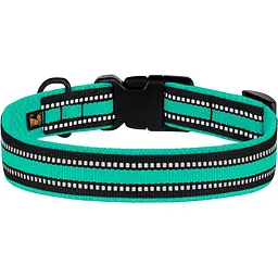 Нашийник для собак BronzeDog Mesh, розмір S, 25-33х2 см, ментоловий - мініатюра 2