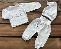 Комплект одягу для новонароджених утеплена кофточка, повзунки і шапочка для малюків зріст 56 см BST Кіт білий - мініатюра 2