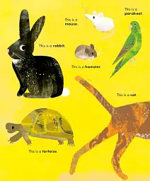 All Kinds of Things - Frances Stickley - мініатюра 6