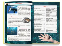 Велика книжка чомучки - Аліна Котка - миниатюра 16