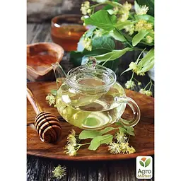 Саджанець Agro-Market Липа світло-зелена Королівська (дуже ароматний сорт) (23893) - мініатюра 5