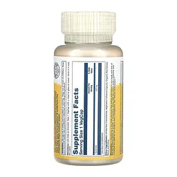 Амінокислота Solaray L-Glutamine 500 мг 50 капс - мініатюра 2