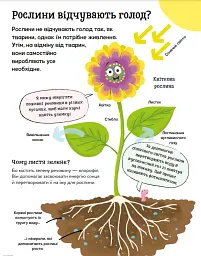 Хочу все знати про рослини - мініатюра 4
