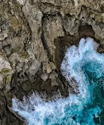 The Science of the Ocean. The Secrets of the Seas Revealed - мініатюра 4