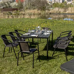 Комплект садових меблів 4Points Sanremo-8 прямокутний стіл 150х90х70см стільниця штучне дерево Polywood та 8 стільців - мініатюра 2