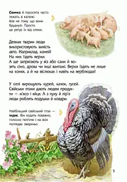 Дитяча енциклопедія про тварин 614005 для дошкільнят - мініатюра 8