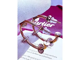 Сережки Stainlees Steel 1 334