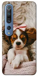 TPU чохол Demsky Sleepy spaniel для Xiaomi Mi 10 / Mi 10 Pro