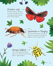 Bugs to Spot. Usborne Minis - мініатюра 7