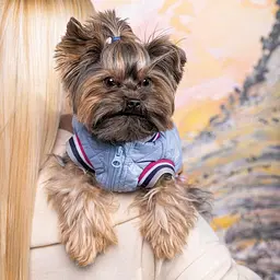 Бом бер Pet Fashion Spike для собак, розмір XS2, блакитний - мініатюра 4