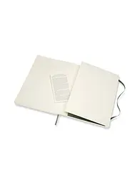 Записник Moleskine Classic великий, Клітинка Миртовий Зелений М’який (QP622K15) - мініатюра 5